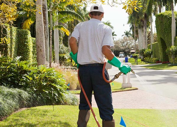 About Maysville GA Pest Control Pros